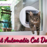 7 Best Automatic Cat Doors In 2023