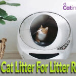 9 Best Cat Litter For Litter Robot In 2023