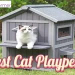 9 Best Cat Playpens In 2023