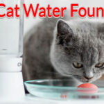 11 Best Cordless and Battery-Operated Cat Water Fountains in 2023