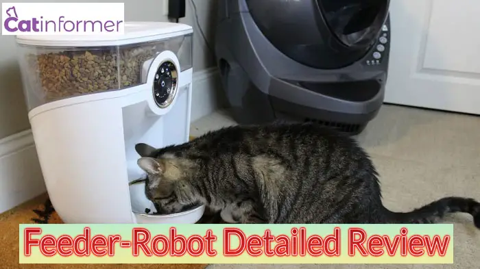 Feeder-Robot Detailed Review: Is It Worth Your Money?